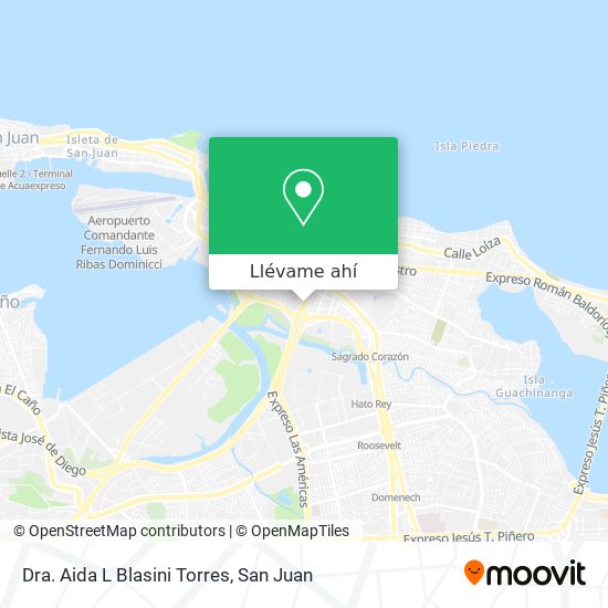 Mapa de Dra. Aida L Blasini Torres