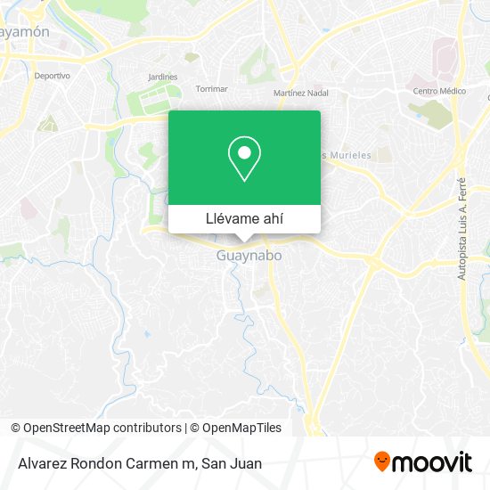 Mapa de Alvarez Rondon Carmen m
