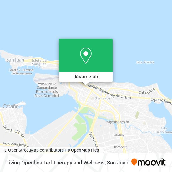 Mapa de Living Openhearted Therapy and Wellness