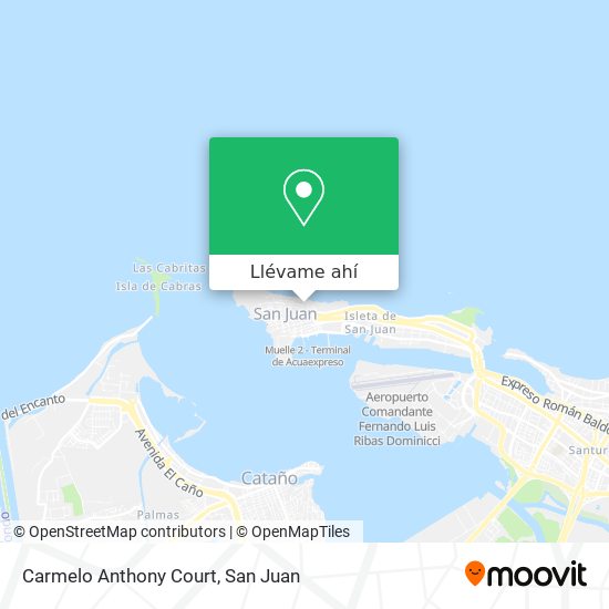 Mapa de Carmelo Anthony Court