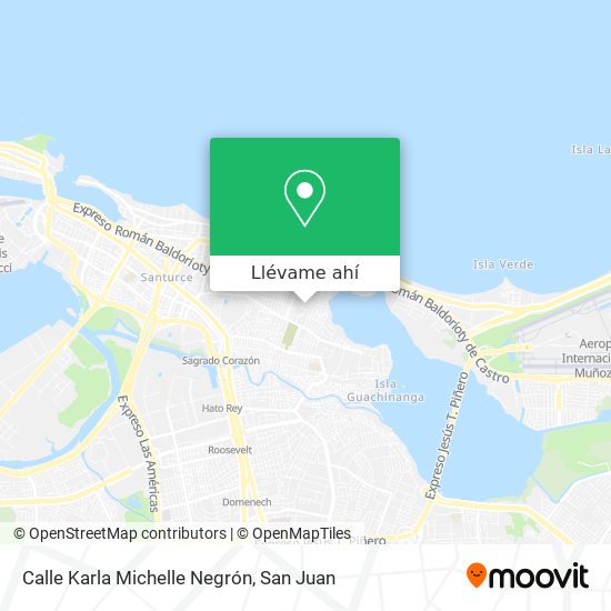Mapa de Calle Karla Michelle Negrón