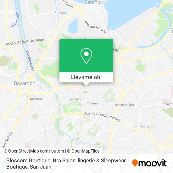 Mapa de Blossom Boutique: Bra Salon, lingerie & Sleepwear Boutique