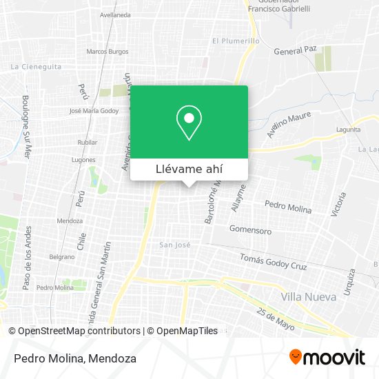 Mapa de Pedro Molina