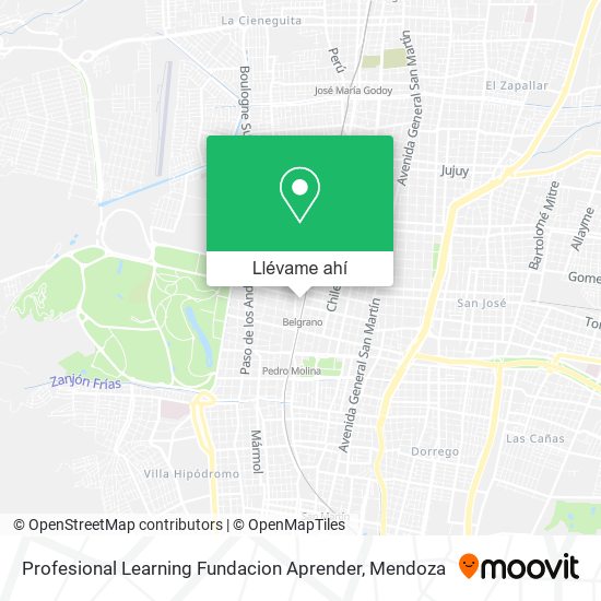 Mapa de Profesional Learning Fundacion Aprender
