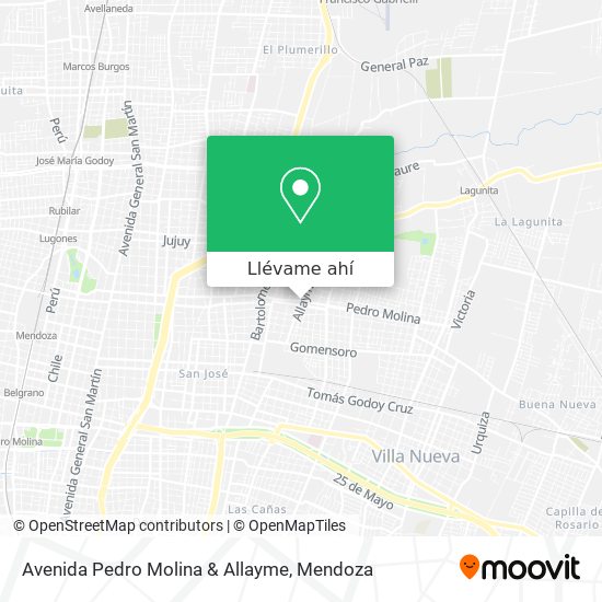 Mapa de Avenida Pedro Molina & Allayme