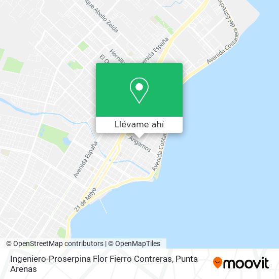 Mapa de Ingeniero-Proserpina Flor Fierro Contreras