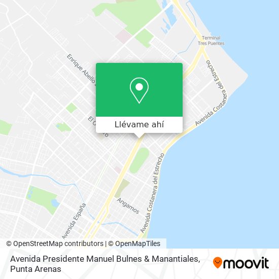 Mapa de Avenida Presidente Manuel Bulnes & Manantiales