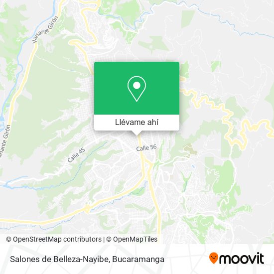 Mapa de Salones de Belleza-Nayibe