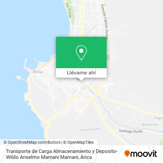 Mapa de Transporte de Carga Almacenamiento y Deposito-Wildo Anselmo Mamani Mamani