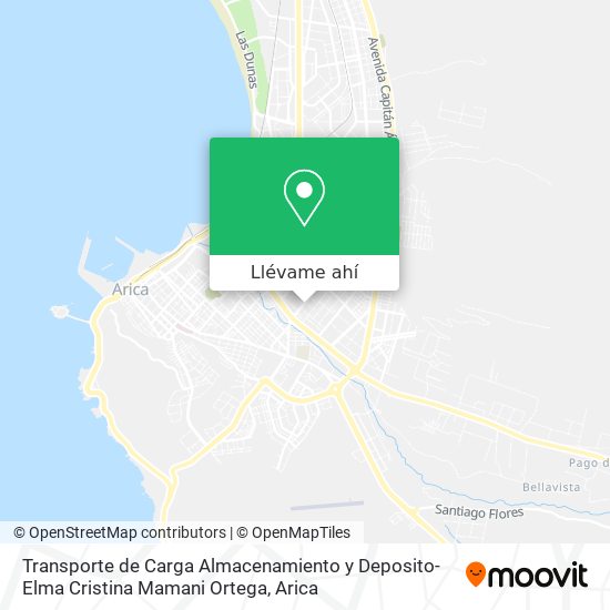 Mapa de Transporte de Carga Almacenamiento y Deposito-Elma Cristina Mamani Ortega