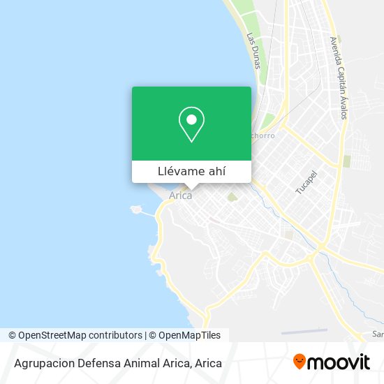 Mapa de Agrupacion Defensa Animal Arica