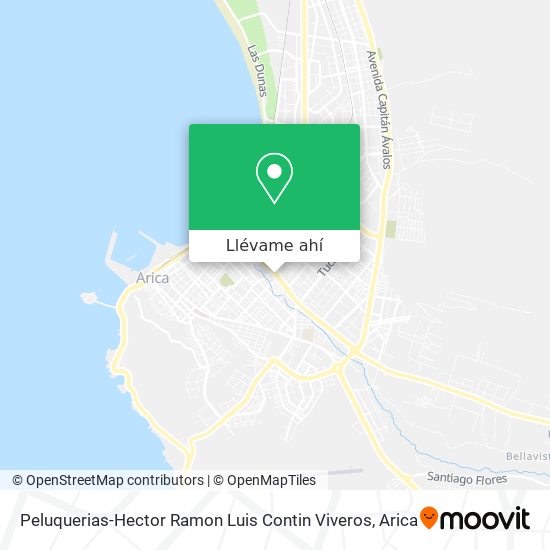 Mapa de Peluquerias-Hector Ramon Luis Contin Viveros