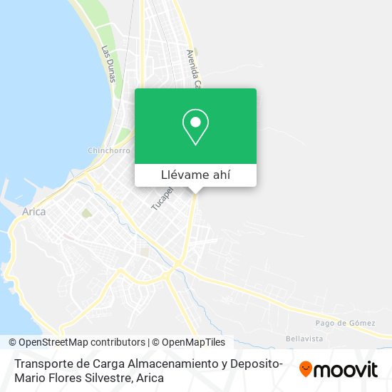 Mapa de Transporte de Carga Almacenamiento y Deposito-Mario Flores Silvestre