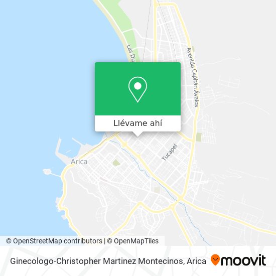 Mapa de Ginecologo-Christopher Martinez Montecinos