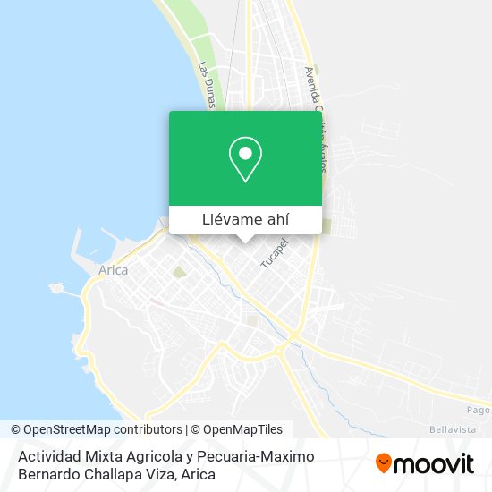 Mapa de Actividad Mixta Agricola y Pecuaria-Maximo Bernardo Challapa Viza