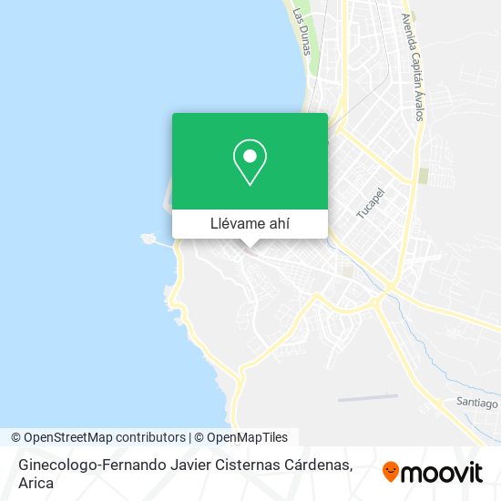 Mapa de Ginecologo-Fernando Javier Cisternas Cárdenas