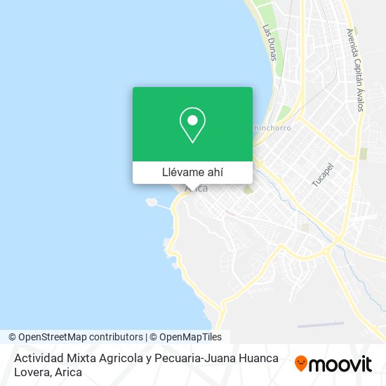 Mapa de Actividad Mixta Agricola y Pecuaria-Juana Huanca Lovera