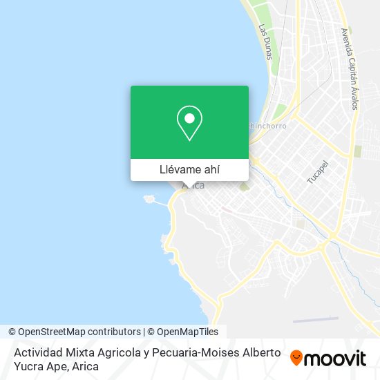 Mapa de Actividad Mixta Agricola y Pecuaria-Moises Alberto Yucra Ape