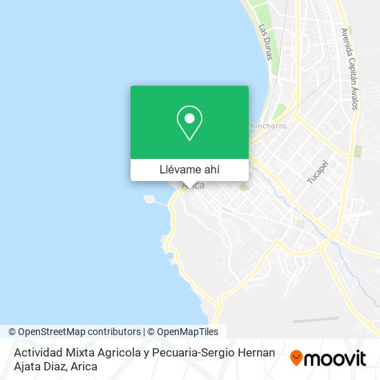 Mapa de Actividad Mixta Agricola y Pecuaria-Sergio Hernan Ajata Diaz