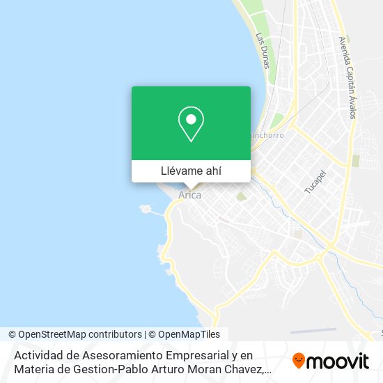 Mapa de Actividad de Asesoramiento Empresarial y en Materia de Gestion-Pablo Arturo Moran Chavez