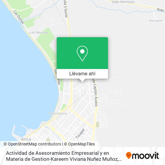 Mapa de Actividad de Asesoramiento Empresarial y en Materia de Gestion-Kareem Viviana Nuñez Muñoz