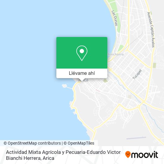 Mapa de Actividad Mixta Agrícola y Pecuaria-Eduardo Victor Bianchi Herrera