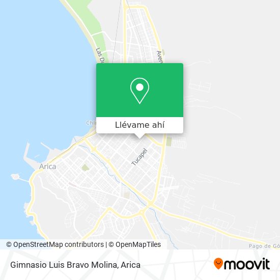 Mapa de Gimnasio Luis Bravo Molina