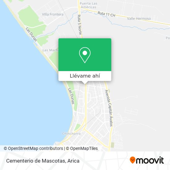 Mapa de Cementerio de Mascotas