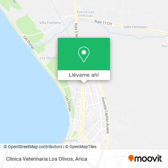 Mapa de Clínica Veterinaria Los Olivos