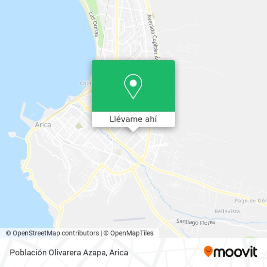 Mapa de Población Olivarera Azapa