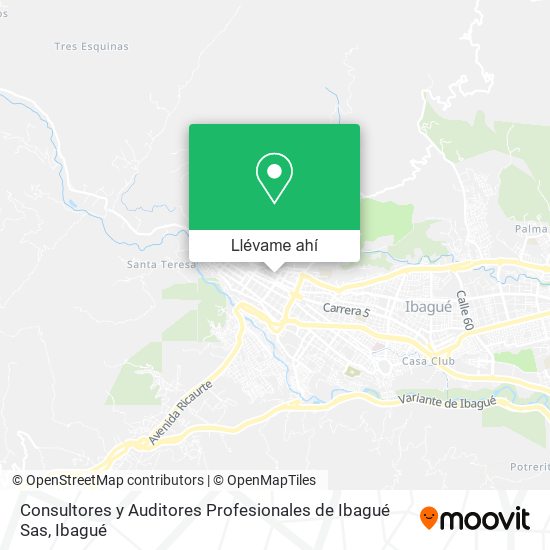 Mapa de Consultores y Auditores Profesionales de Ibagué Sas