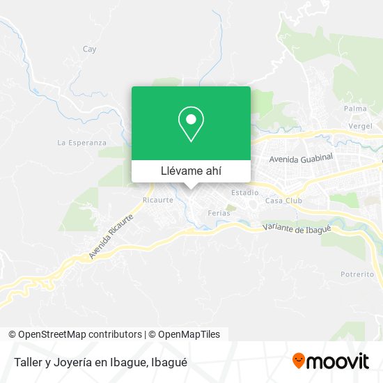 Mapa de Taller y Joyería en Ibague