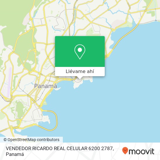 Mapa de VENDEDOR  RICARDO REAL CELULAR   6200 2787