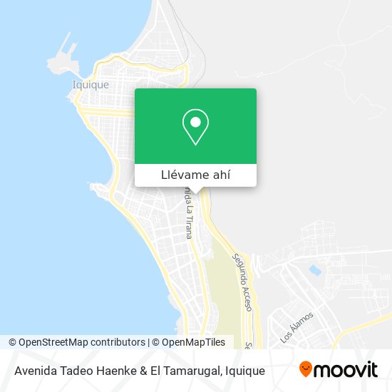 Mapa de Avenida Tadeo Haenke & El Tamarugal