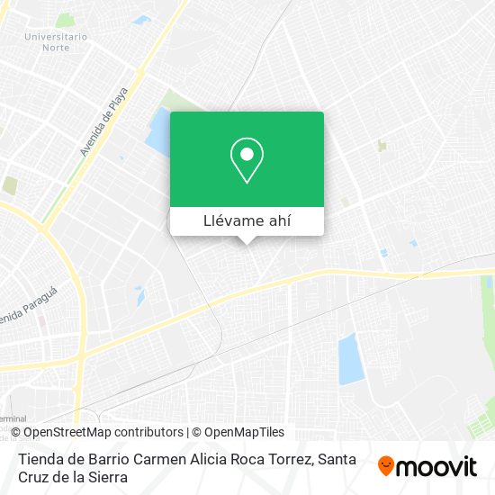 Mapa de Tienda de Barrio Carmen Alicia Roca Torrez