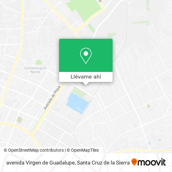 Mapa de avenida Virgen de Guadalupe