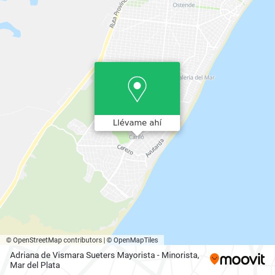 Mapa de Adriana de Vismara Sueters Mayorista - Minorista