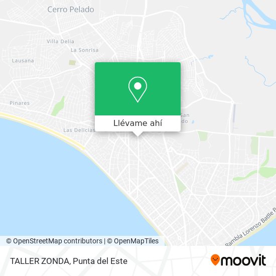 Mapa de TALLER ZONDA