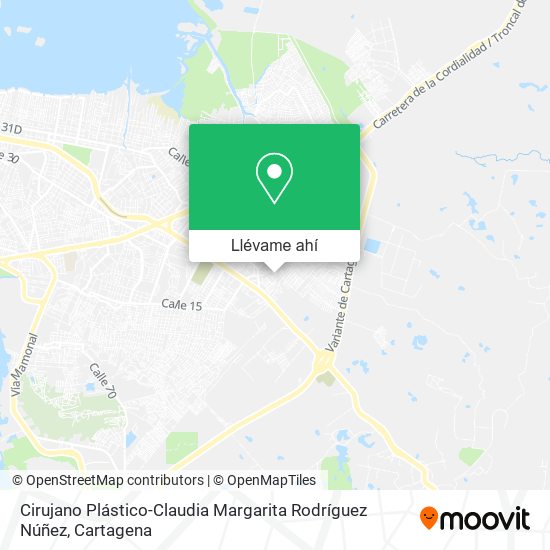 Mapa de Cirujano Plástico-Claudia Margarita Rodríguez Núñez