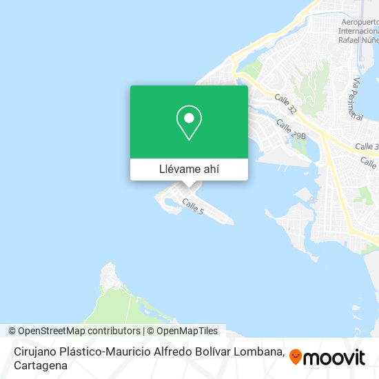 Mapa de Cirujano Plástico-Mauricio Alfredo Bolívar Lombana