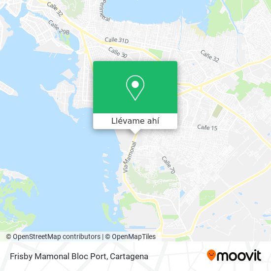 Mapa de Frisby Mamonal Bloc Port