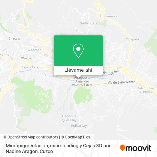 Mapa de Micropigmentación, microblading y Cejas 3D por Nadine Aragón