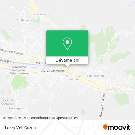 Mapa de Lazzy Vet