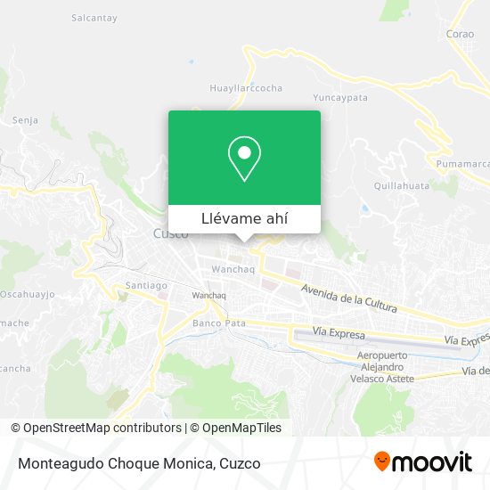 Mapa de Monteagudo Choque Monica