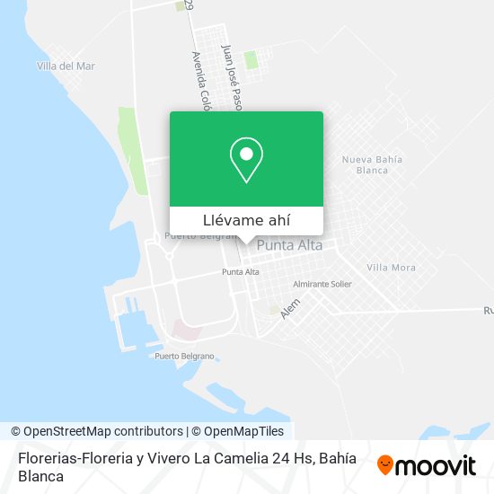 Cómo llegar a Florerias-Floreria y Vivero La Camelia 24 Hs en Coronel De  Marina Leonardo Rosales en Autobús?