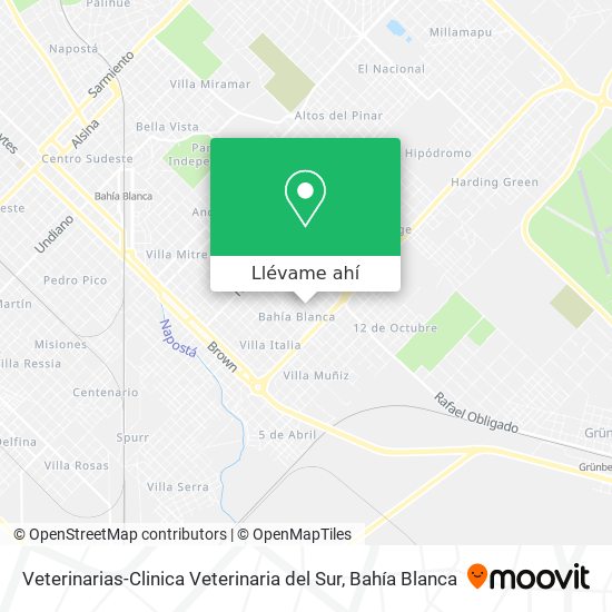 Mapa de Veterinarias-Clinica Veterinaria del Sur