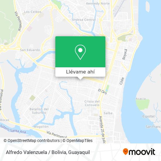 Mapa de Alfredo Valenzuela / Bolivia