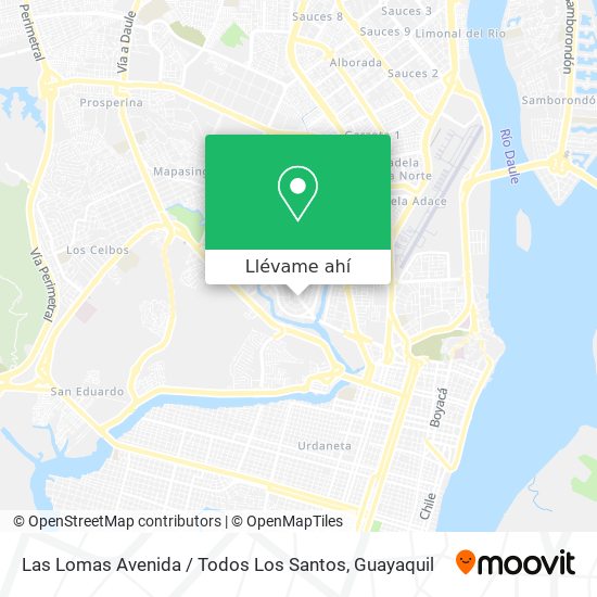 Mapa de Las Lomas Avenida / Todos Los Santos