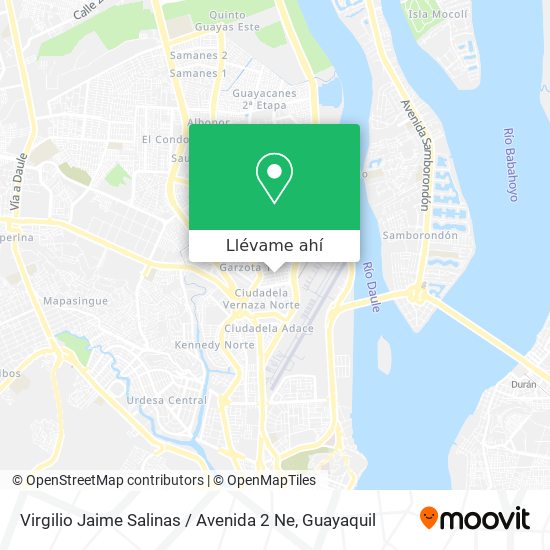 Mapa de Virgilio Jaime Salinas / Avenida 2 Ne