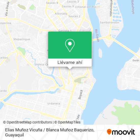 Mapa de Elias Muñoz Vicuña / Blanca Muñoz Baquerizo